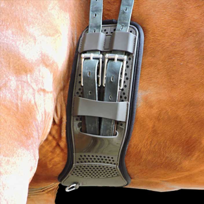 Pro Mesh Dressage Girth