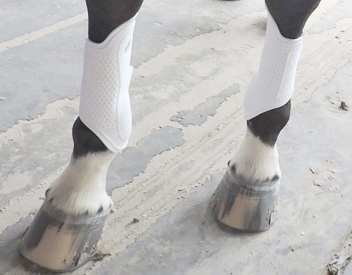 Pro Mesh Splint/Dressage Boots