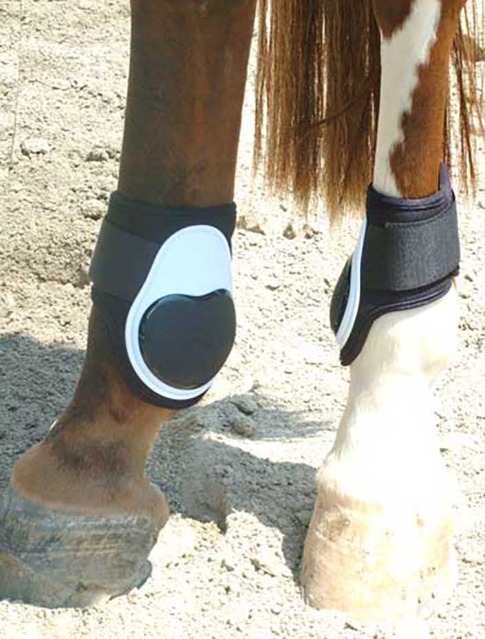 air shock fetlock boot