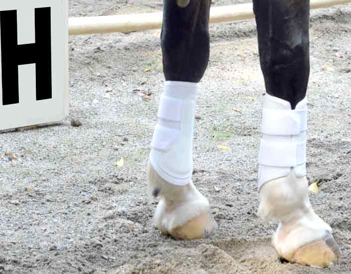 Pro Mesh Equestrian Boots